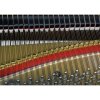 KAWAI GL-10 ATX4 E/P 153 cm silent